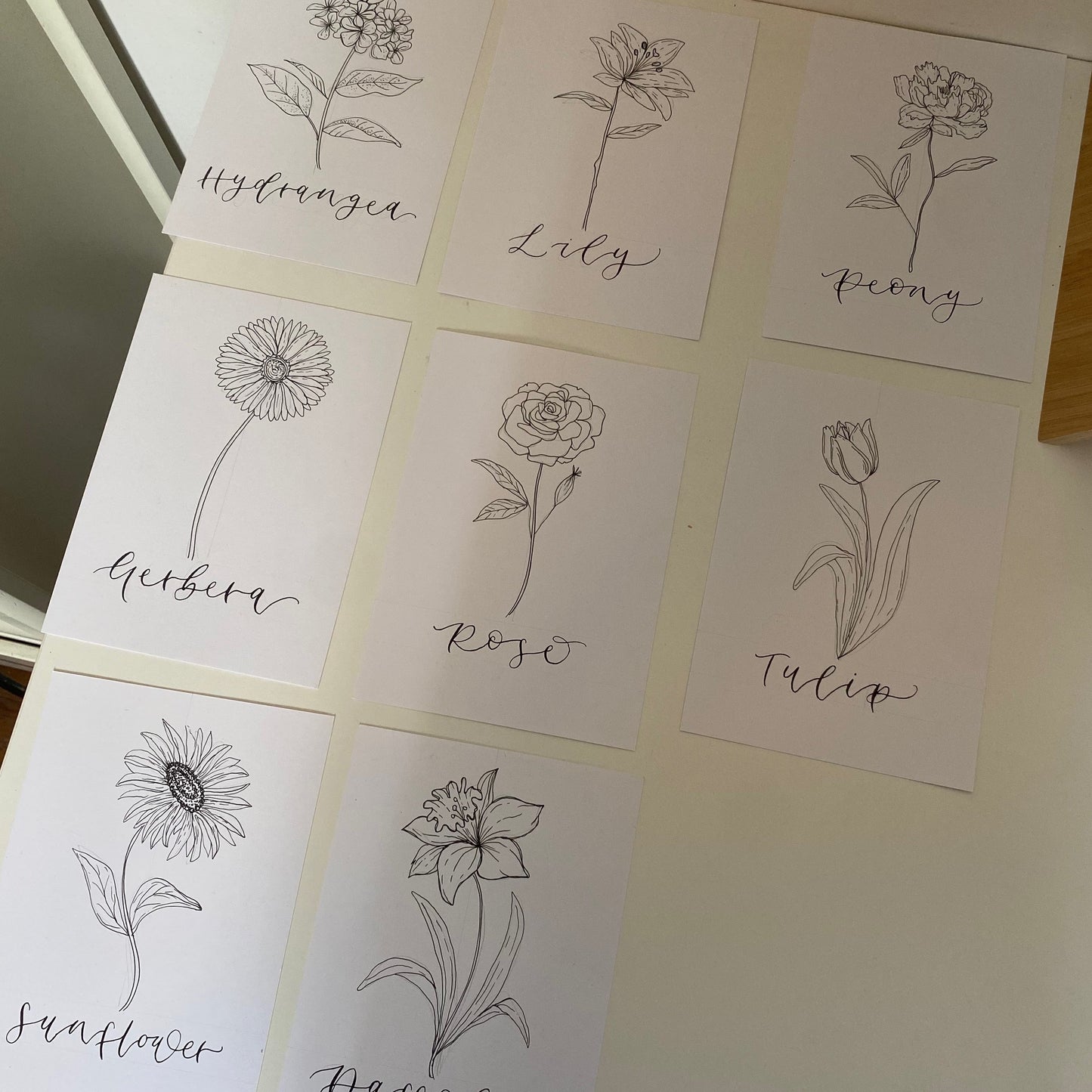 Line Illustration Flower Table Names