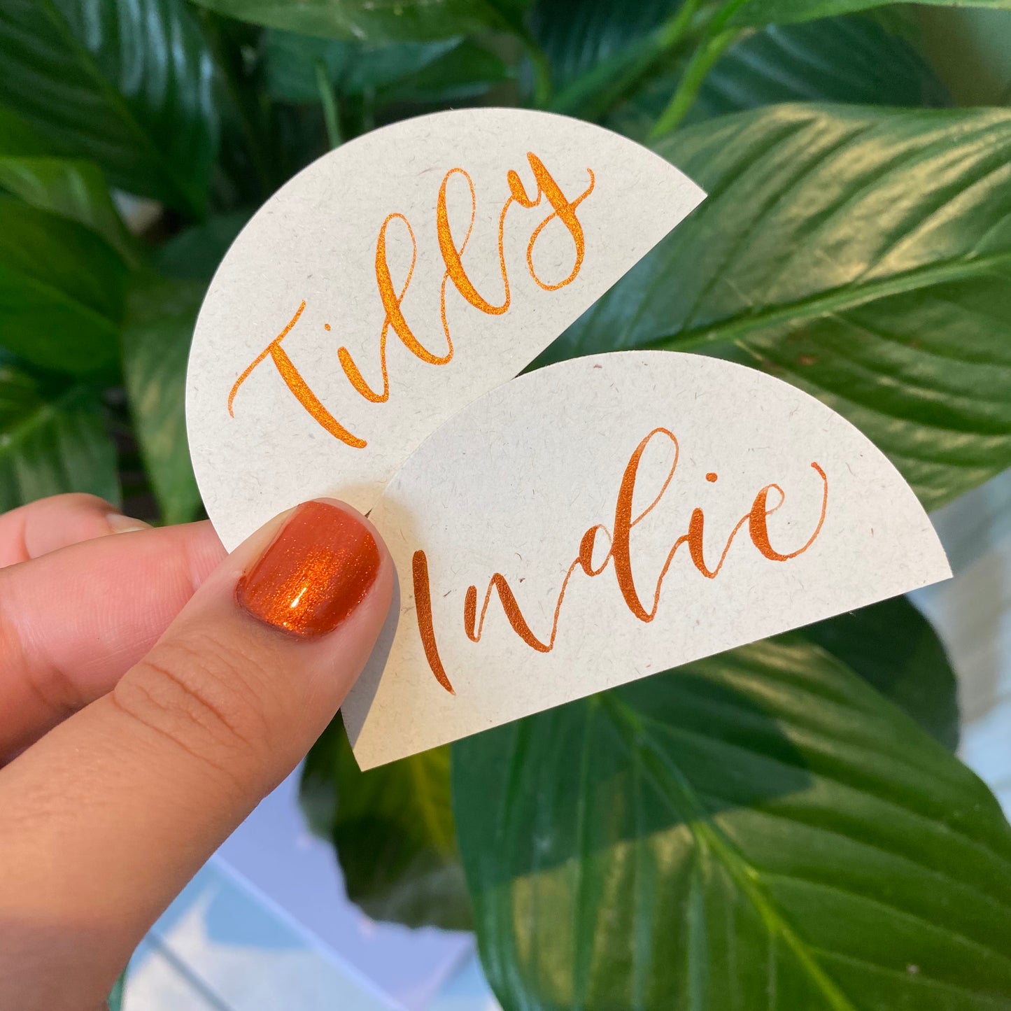 Half Circle Place Cards